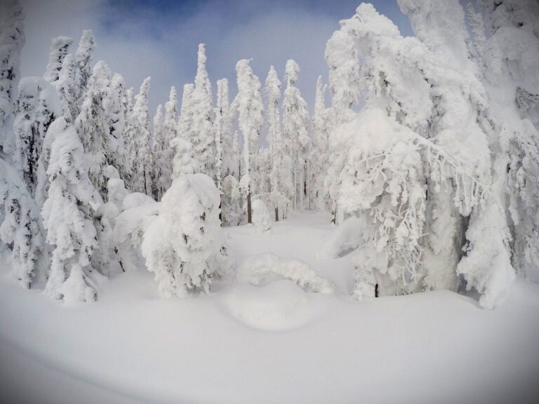 FulleRulle snowmobile tours in Swedish Lapland