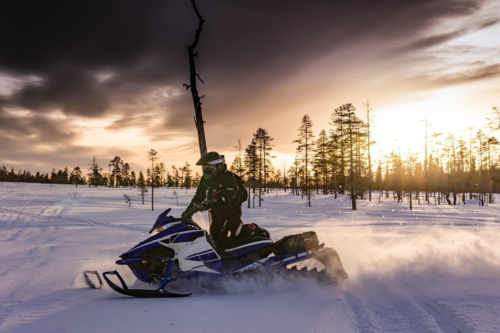 FulleRulle in Vidsel, Swedish Lapland