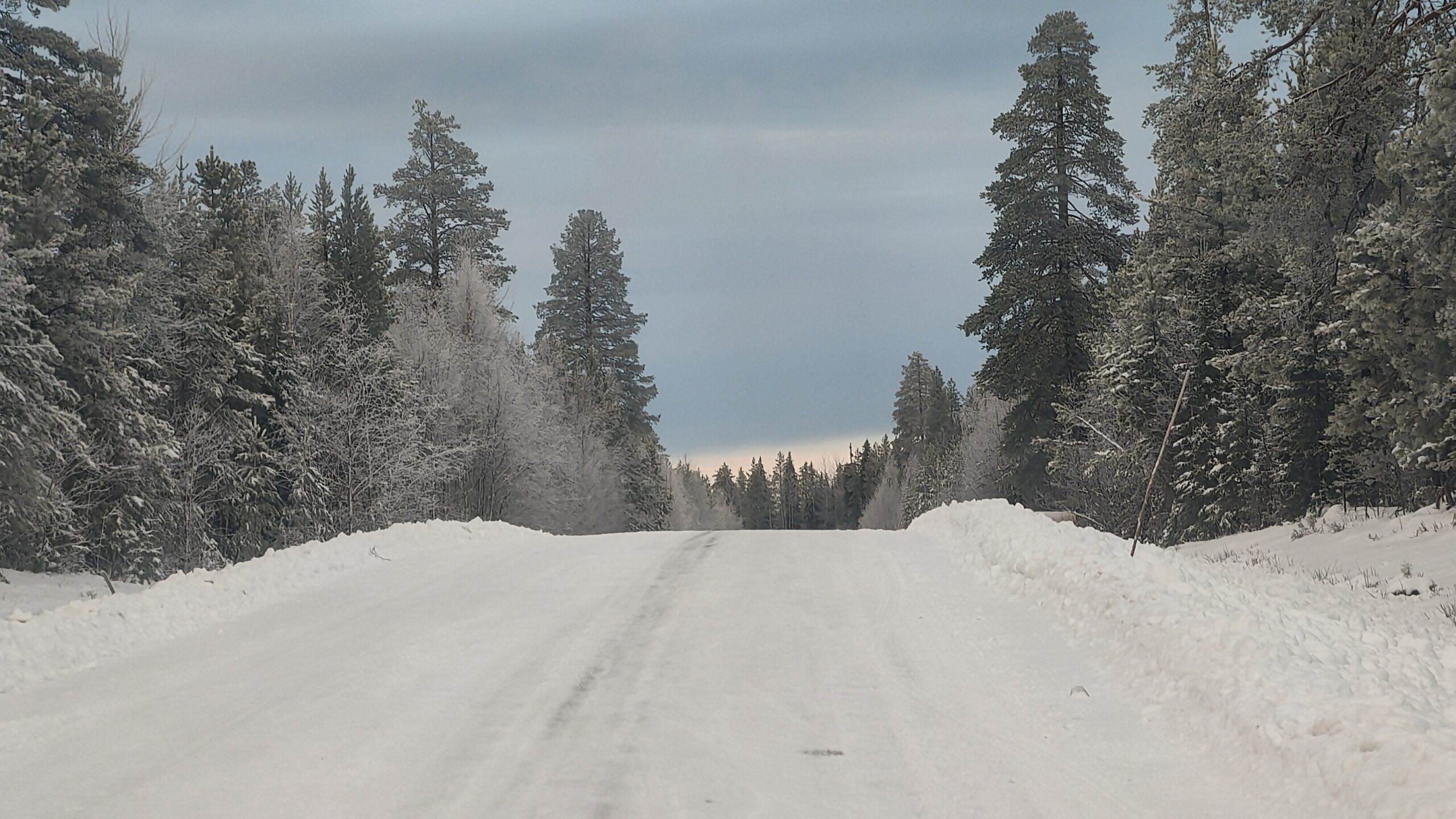 FulleRulle snowmobile tours in Swedish Lapland