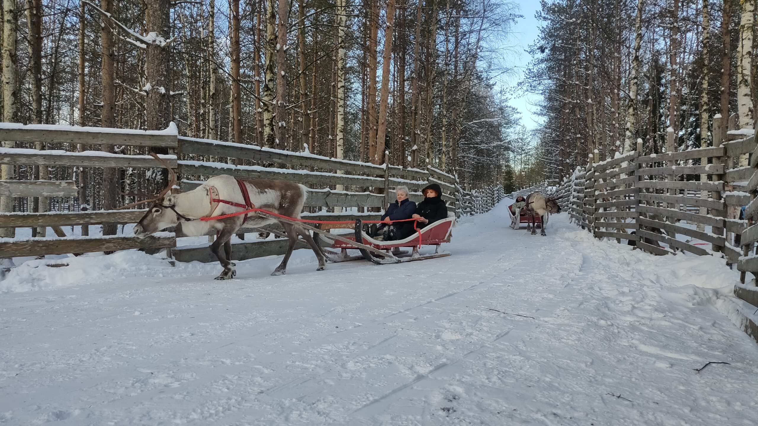 FulleRulle snowmobile tours in Swedish Lapland