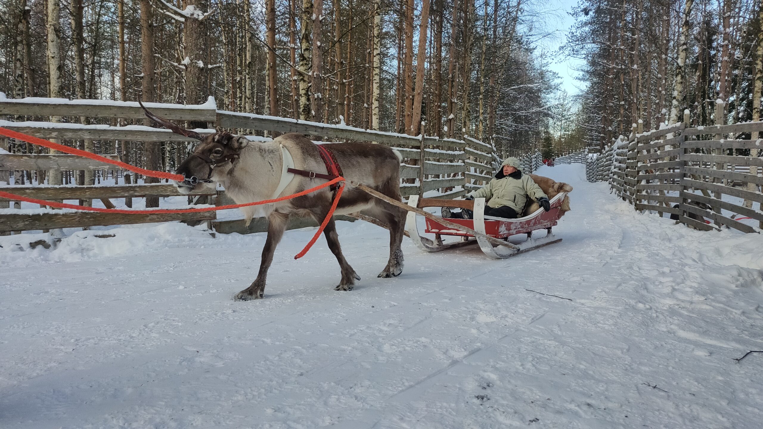 FulleRulle snowmobile tours in Swedish Lapland
