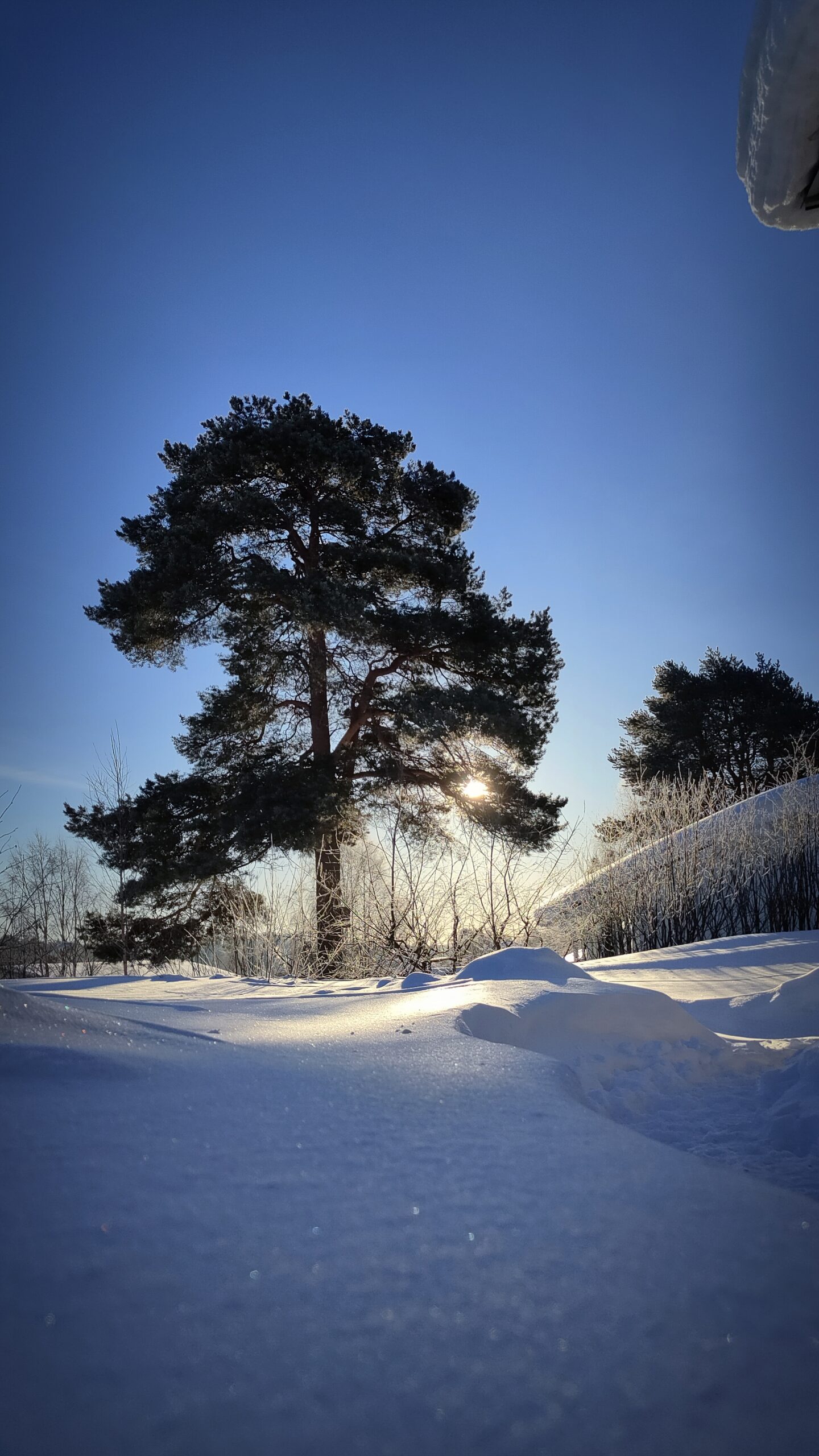 FulleRulle snowmobile tours in Swedish Lapland