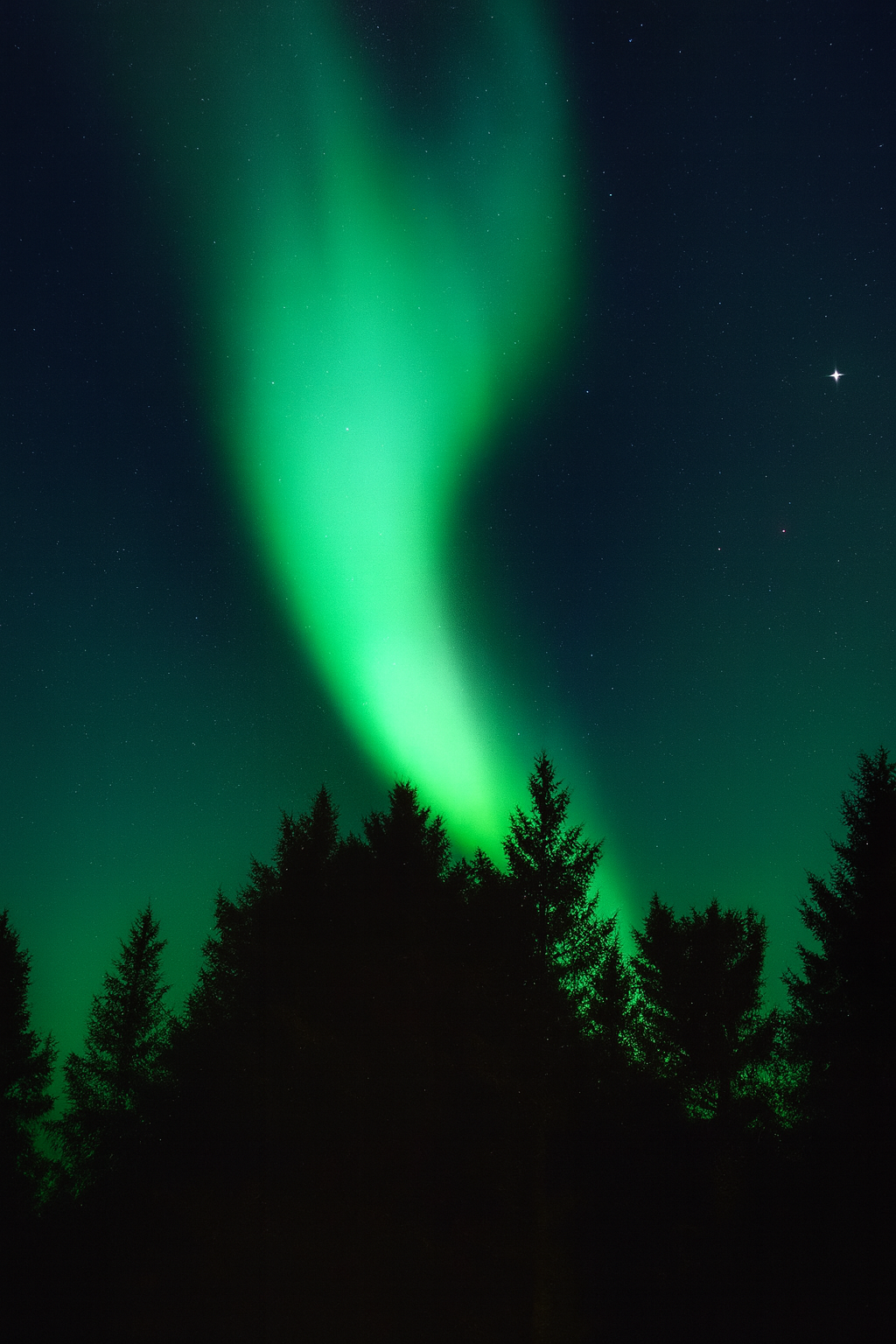FulleRulle snowmobile tours in Swedish Lapland