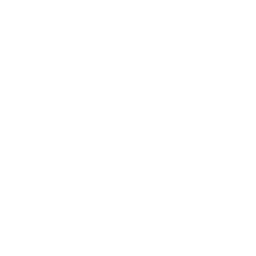 1-HOUR SNOWMOBILE TOUR