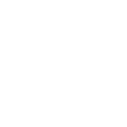 INDIVIDUAL TOURS