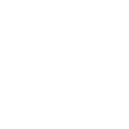 2-HOUR SNOWMOBILE TOUR