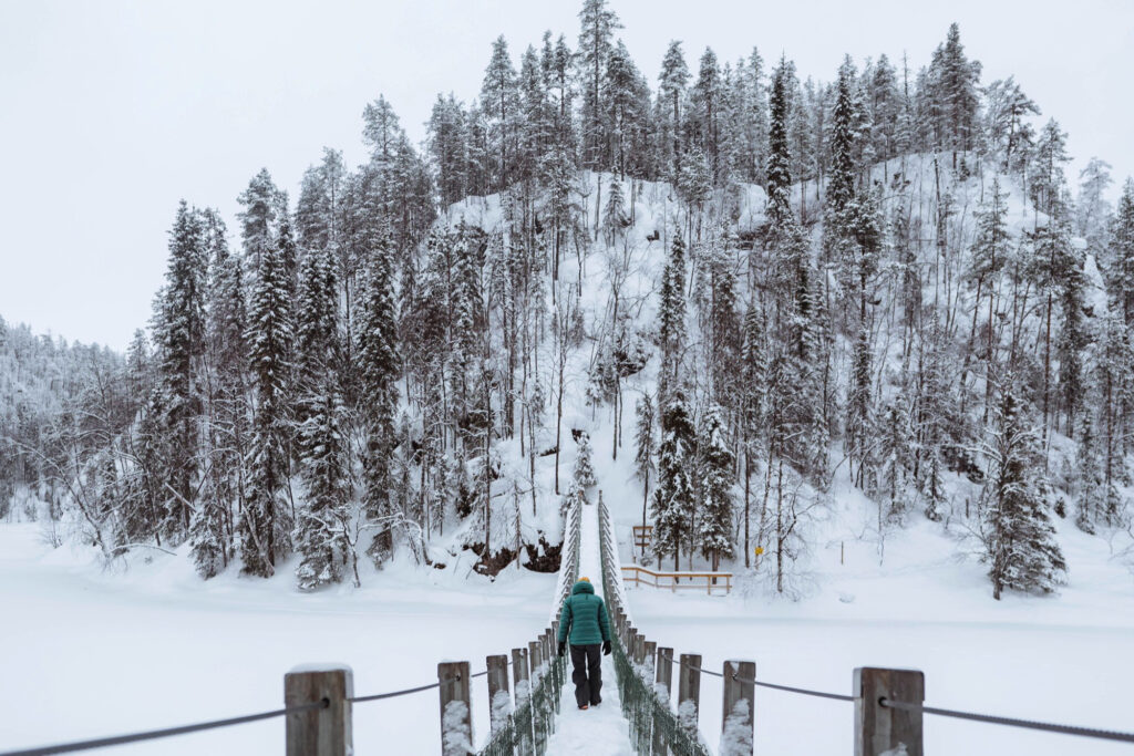 A snowy forest trail in Swedish Lapland