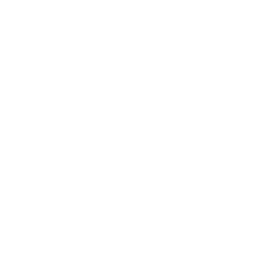 3-HOUR SNOWMOBILE TOUR