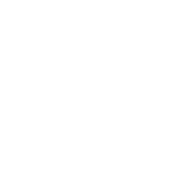 CHRISTMAS AND NEW YEAR IN SWEDISH LAPLAND